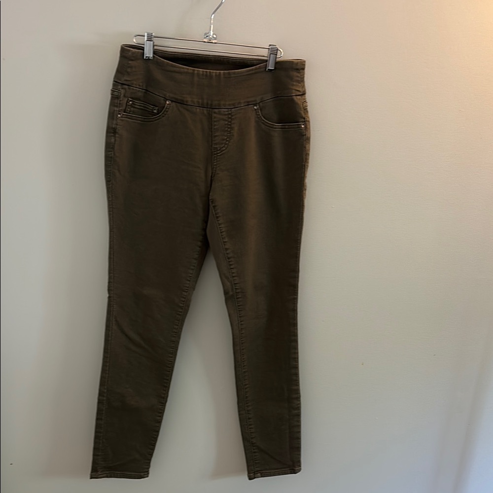 Jag Jeans Green Skinny Pants Everyday Style
